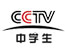 CCTV中学生